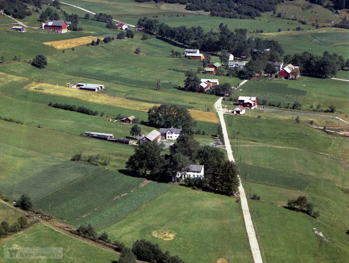 Peder Nerås, Bj. Øverås, Hans P. Øverås, Johannes P Øverås.