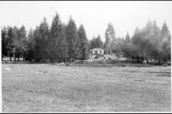 Skog og slette på Ekebergområdet / platået.Trefelling. (Hytt