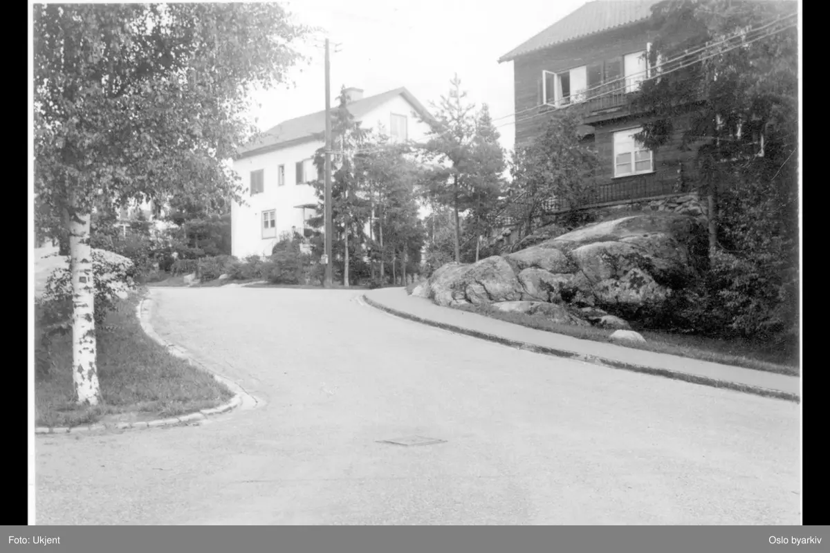 Forhager i villastrøk.