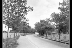 Dronning Blancas vei opp mot Kongsgården med driftsbygningen