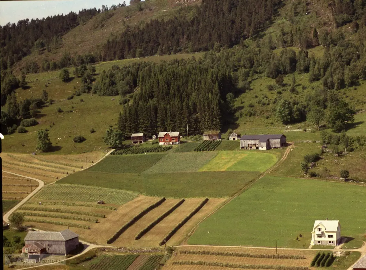 Ås, gnr. 52.Garden til venstre midt i bildet: Bnr. 41. Det gamle tunet i "Nordigarden", gnr. 52/3. Våningshuset er fråskilt som 52/41. Løa vart riven ca. år 2000..Nederst til høyre: Våningshuset på det nye tunet i "Nordigarden", 52/3..Nederst til venstre: Løa "på Kloppen" (sjå 81847).