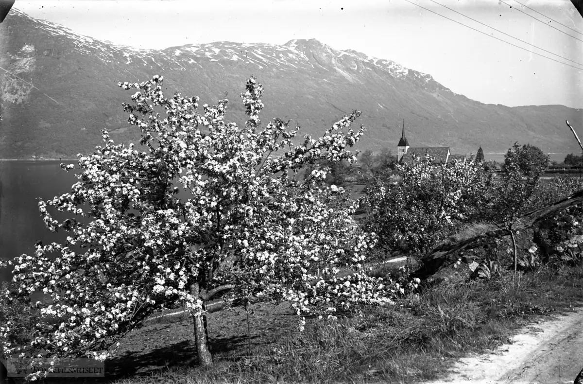 Ullensvang kirke. W:"Ullensvang kirke (Ullensvang kyrkje) er en langkirke fra 1300 i Ullensvang kommune, Hordaland fylke..Byggverket er i mur og stein og har 450 plasser..Bygd i perioden 1250-1300, engelsk gotikk.Arkitekt 1958: A.Arneberg"