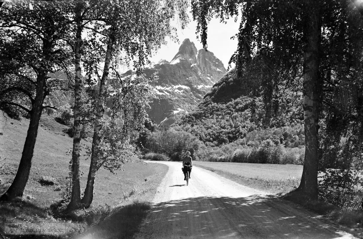 Romsdalshorn mellom bjerker. Dagny på sykkel.