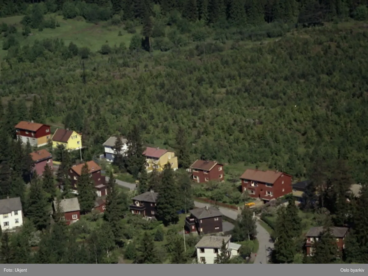 Boliger langs Øvre Skjoldvei. I bakgrunnen Grindajordet. Stien man kan skimte opp til høyre går innover til Låkeberget. (Flyfoto)