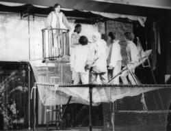 "Reise i nattens dyp", teaterforestilling av Rocco Petruzzi 