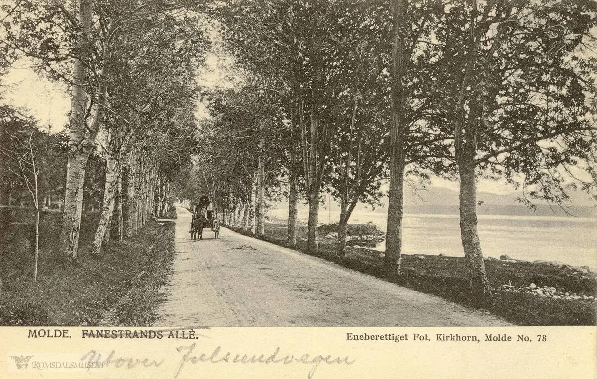 Fannestrandsalleen