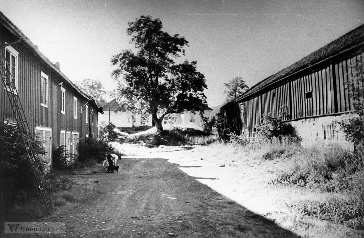 Moldegård, driftsbygningen (løa). .(Se Romsdal Sogelags årsskrift 1983 og nr 3209B)