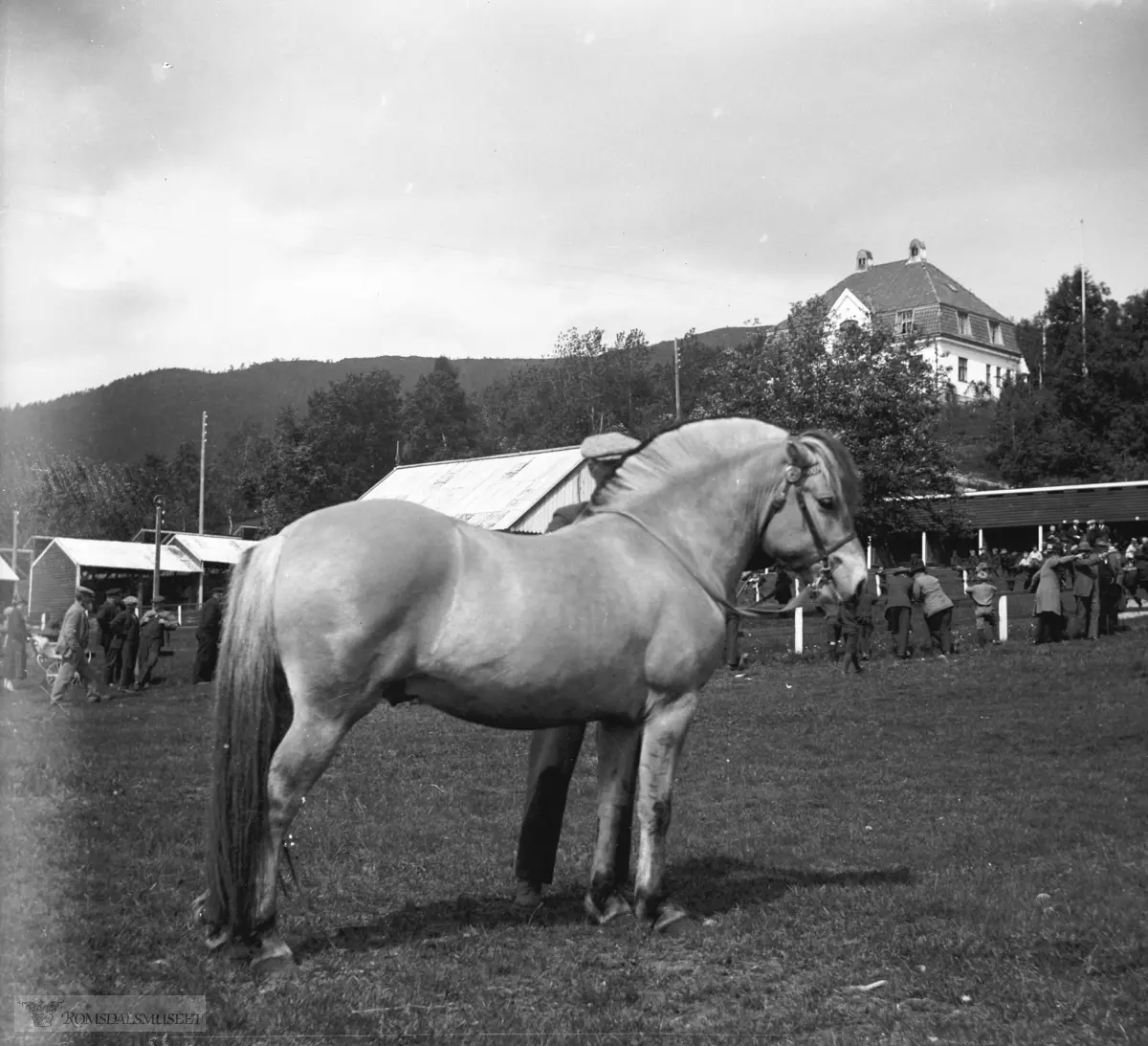 Utstillingplassen på Reknes. (se Romsdal Sogelag årskrift 2006 se også "Personen bak gatenavnet") .Huset i bakgrunnen er Sofus Jørgensens hus Skrenten bygd 1917, som ligger i Bjørnstjerne Bjørnsonsvei 25. Det siste huset i Molde kommune i grensen til Bolsøy kommune.