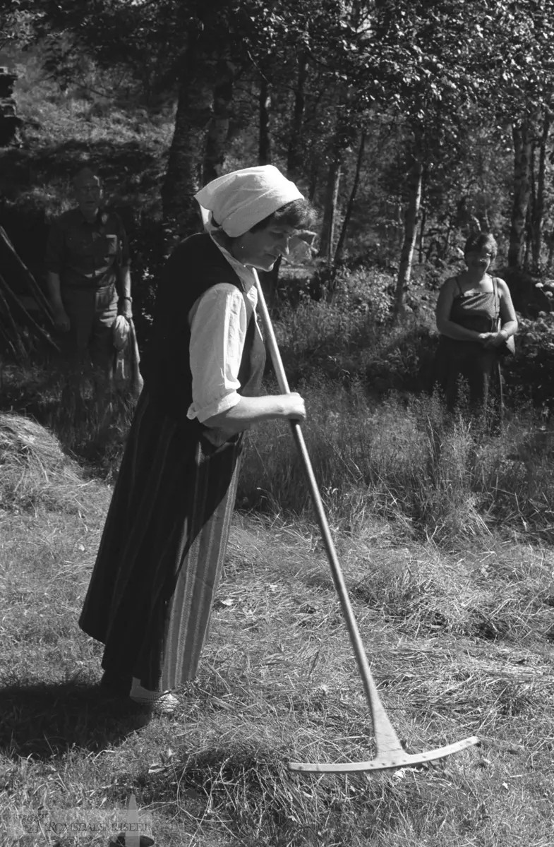 Olsok på Romsdalsmuseet 1985. .Aktører fra Midsund kommune. Raking.