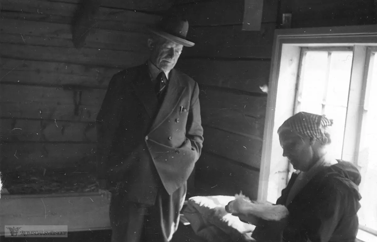 Tur til Daugstad og Tresfjord. l(Eier: Inger Helene Johnson f. Solemdal, 1913-2006. utlånt av Hein Johnson)