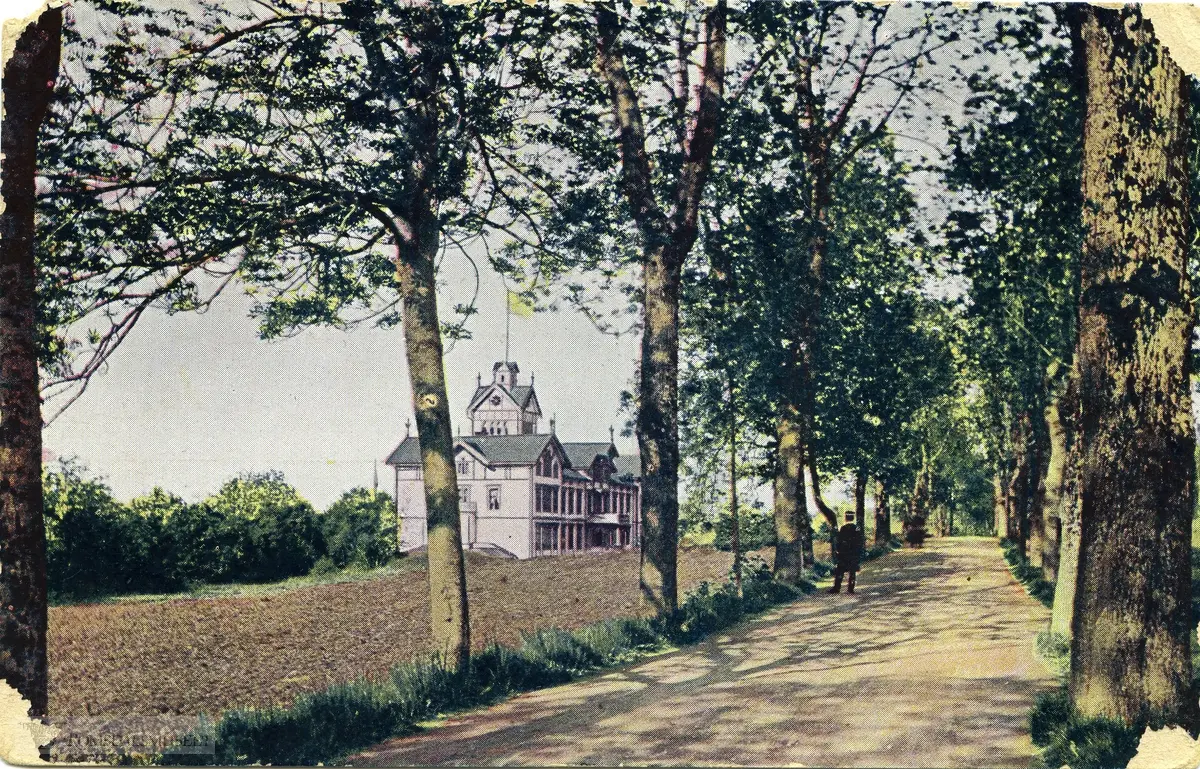 Moldegårdsalleen med Grand Hotell..Hotellet stod på Grandvegen vest for Moldegård. .Det eksisterte i åra 1885-1919.
