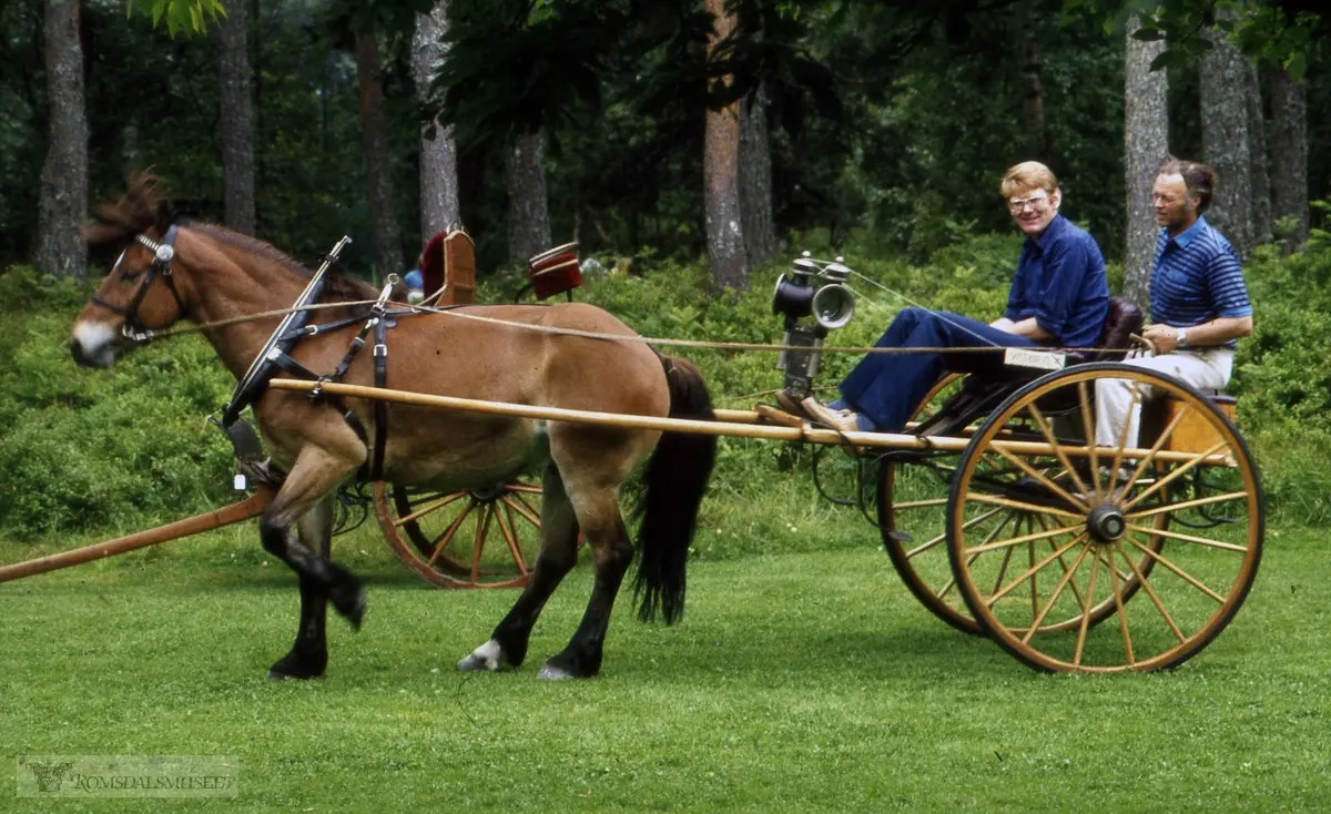 Skyssvogn fra Granseter førstepremie ved Norgesjubileet 1914..Olsok på Romsdalsmuseet i 1981. .Med Eresfjord Bondekvinnelag..