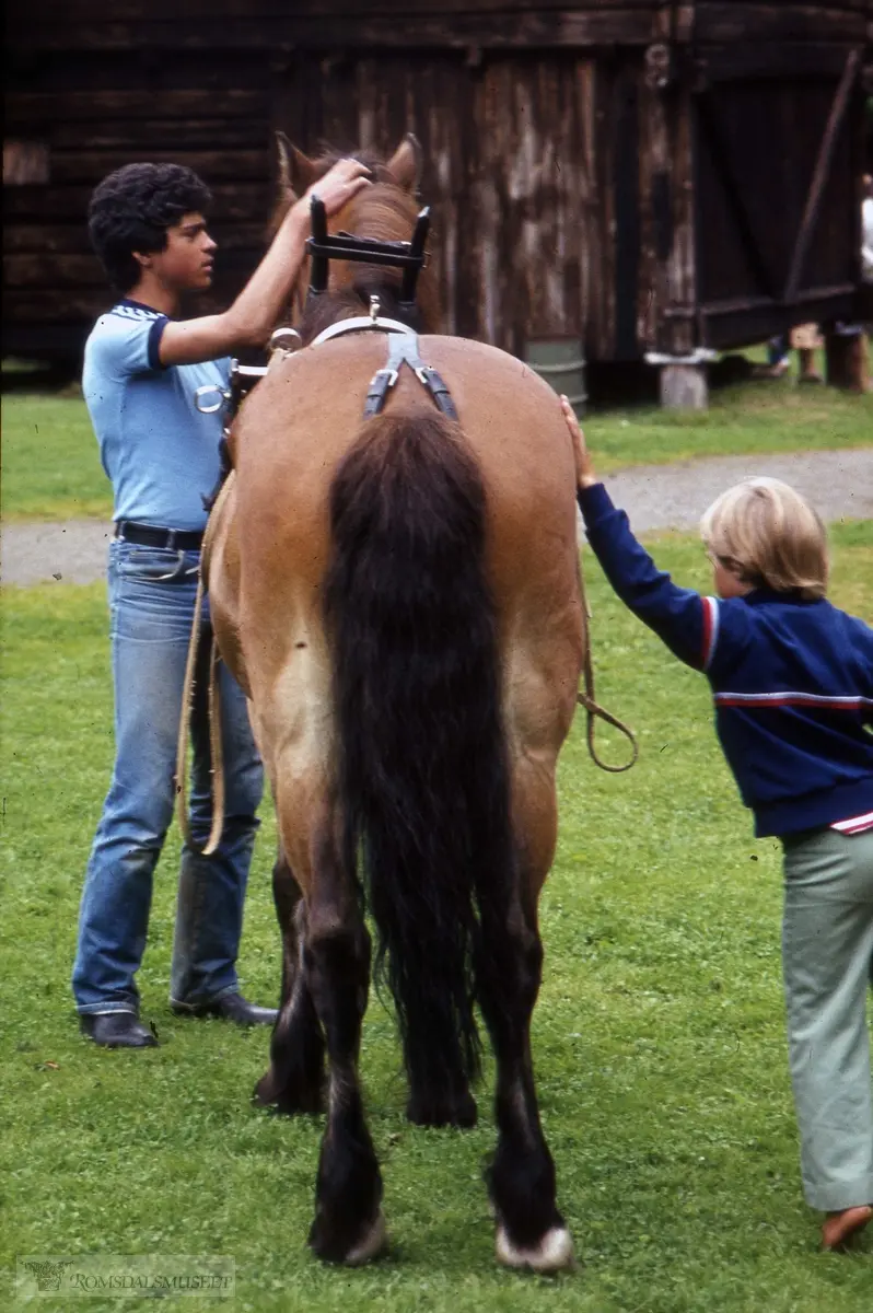 Olsok på Romsdalsmuseet i 1981. .Med Eresfjord Bondekvinnelag.