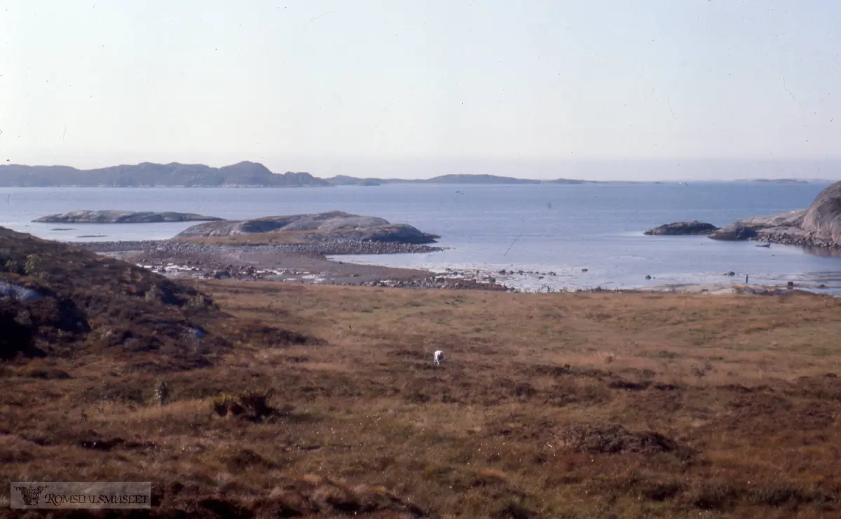 .(Eske 3 er merket "Oterøya 1965, Tautra Midøya 1966, Hjerkin 1968, Veøya, Fræna Sandvika")