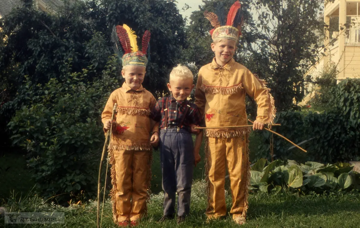 .(eske5) .(Eske 5 er merket "Frøyset 1965, Veøya 1965, Nesset prestegard 1965, Fræna 1962, Otrøy 1963, en del uidentifisert")