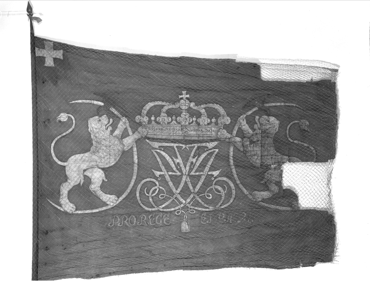 Rød silkefane, enkel duk. Kronet F IV i speilmonogram, med norske løve på hver side. Malt. Under: "PRO REGE ET PATRIA" . I øvre hjørne ved stangen Dannebrog. Vertikalt sammensyd etter midten. Lik på begge sider. Stang 290,5 cm, hellebard
lignende spyd 20 cm. 163 x 200 cm.