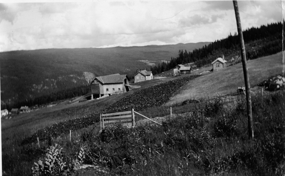 Gardsbruk.Raunedokken 1948.
Låve,Hallingstugu,loft og bruggerhus.