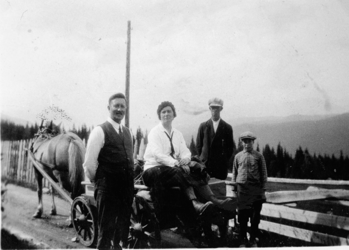 Transport med hest.
Vest,bukse,jakke,luve,hest og vogn.
Frå h.Olav Roe,Knut Lio dei andre er feriegjester.