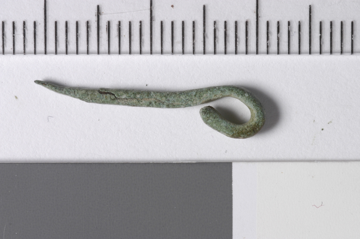MALV: L. 21, 5, B. 2, T. 2 MM, 2 MM BREDT BÅND OMBØYD I ENE ENDEN, TILSPISSET IANDRE. 