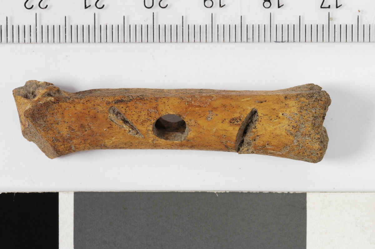 MALV: L. 5, 2 CM, MELLOMFOTSBEIN MED GJENNOMHULLING OG ET HAKK PÅ HVERSIDE AV HULLET, SOM "DE ARKEOLOGISKE UTTGRAVINGER I GAMLEBYEN I OSLO"BD. 1. S. 213, FIG. 43. 
