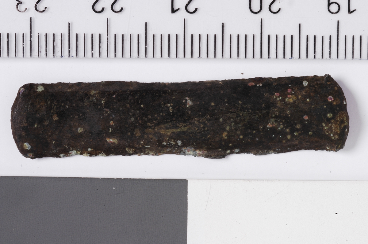 MÅL: L. 43 MM B. 9 MM, SMAL, REKTANGULÆR PLATE MED AVRUNDEDE ENDER. SVAKT BØYET OM LENGDEAKSEN.