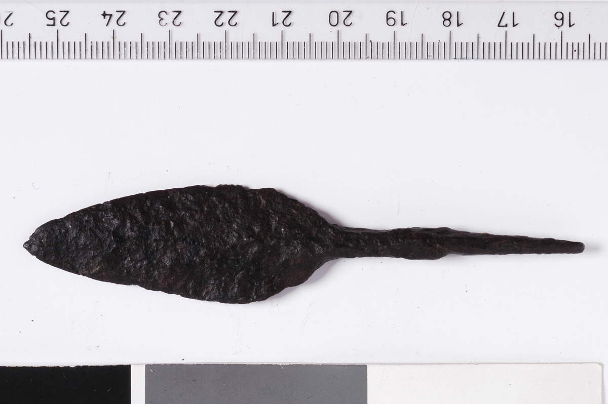 MALV: L. 100 B. 21 MM, SPISSTOVALT BLAD MED TANGE - INGEN RYGGLINJE. 