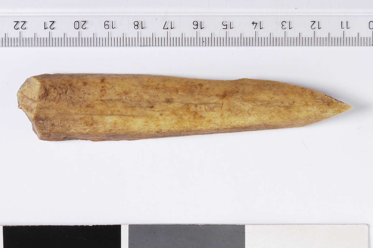 MÅL: L. 10, 8 CM B. 2, 2 CM, BEINPIPE SOM ER SPLITTET PÅ LANGS. AVSMALNENDE, SPISST. BEARBEIDET MED KNIV PÅ UNDERSIDEN OG I DEN BREDESTE ENDEN.