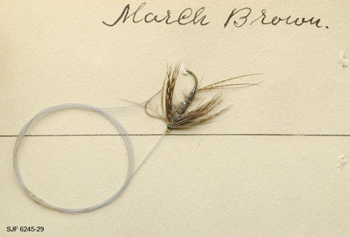 Ei spider våtflue med gutfortom. Hackle av rapphøne, duppet kropp av harehøre ned sølvribbing og hale av to fibre fra rapphøne. 