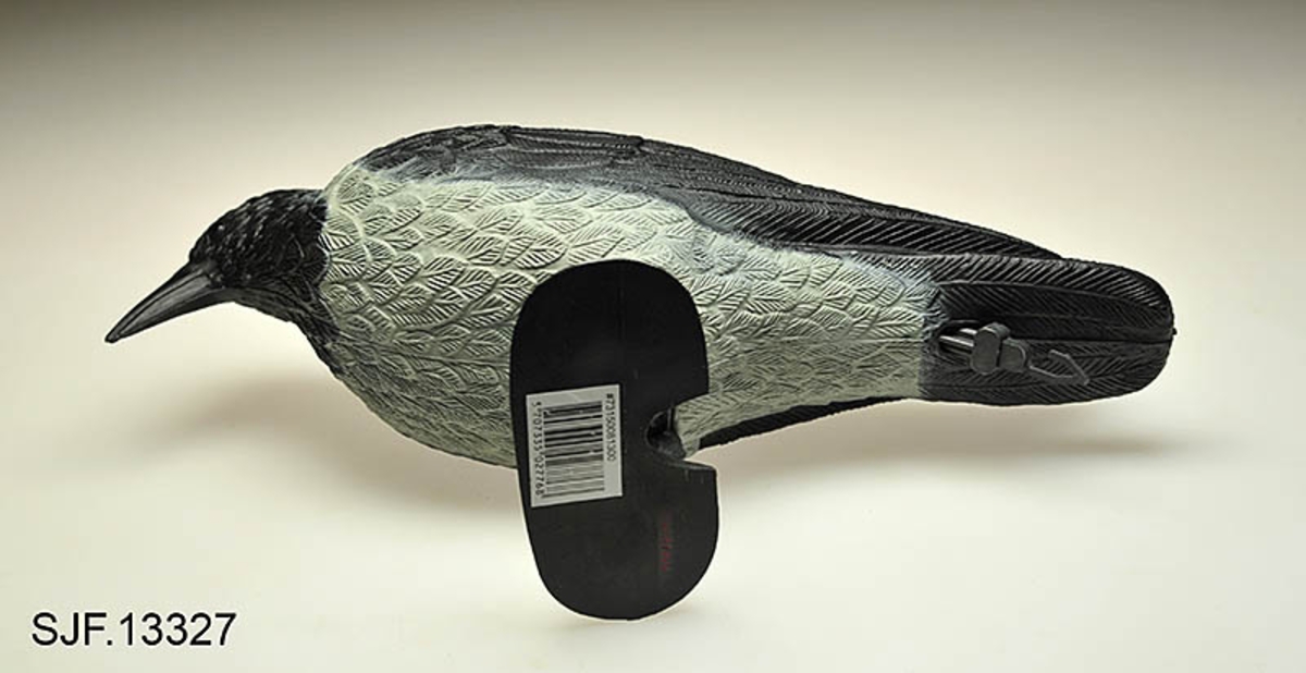 Bulvan, kunstig fugl satt opp for å lokke fugl til stedet der jegeren venter i bakhold. Oftest brukt om kunstige rovfugler som utløser aggressivitet hos den arten man jakter på, av og til også om kunstige fugler som er ment å lokke til seg fugler av samme art. Her er det sistnevnte funksjon som er aktuell. 


Denne bulvanen av kråke er støpt i plast, og den er påmalt kråkas farger.   Bulvanen er kjøpt inn til museet for å brukes i utstillingen Tråkk. 