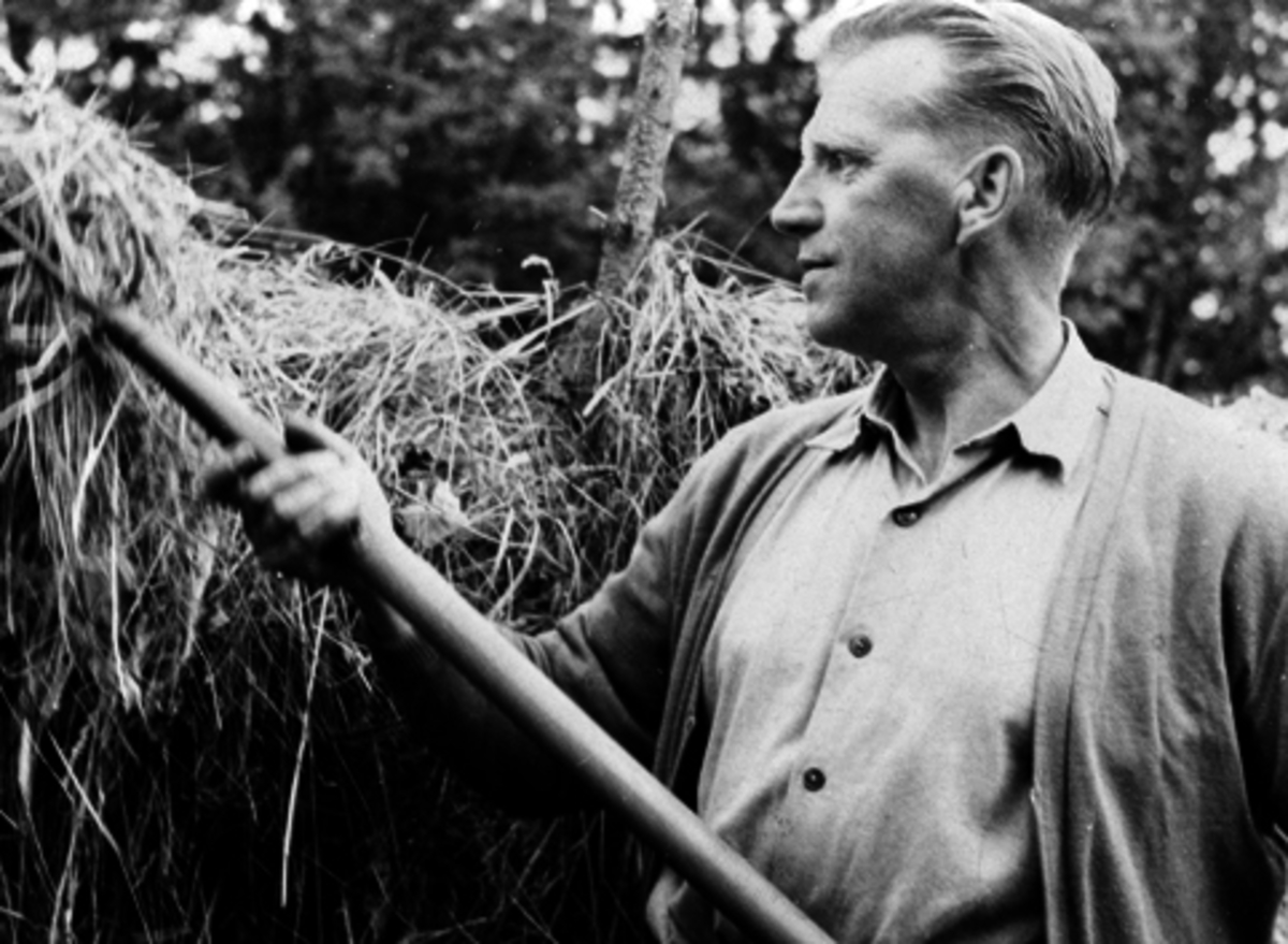 Hamar, Storhamar, Domkirkeodden, Vaktmester Arvid Sanden (1911-1983) hesjer høy,