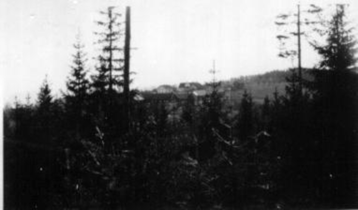 Eik, Helgøya fotografert på lang avstand fra åsryggen mot Kjelsrud. Skog i forgrunn.