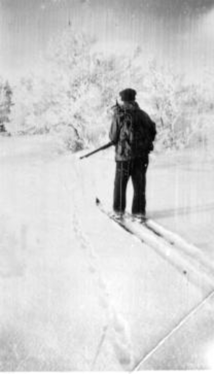 Vinterjakt. Tor Solbakken på ski med ryggsekk og gevær.