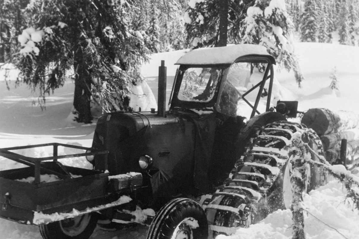 Traktor med halvbelter og tømmerlass på slede. Skogsarbeid i Ringsaker Almenning.