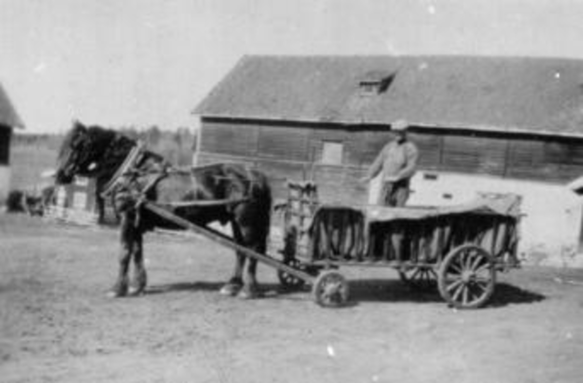 Hest med kjerre. Johannes Fløttum (1893-1965) kjører hakk(halm) på Mellem Kise, Nes, Hedmark.