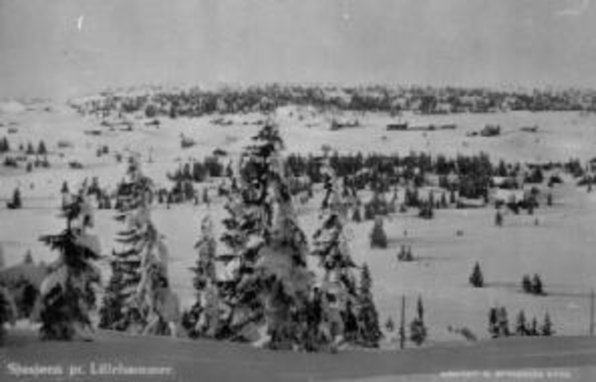 Flyfoto av Sjusjøen. Vinterlandskap med bebyggelse.