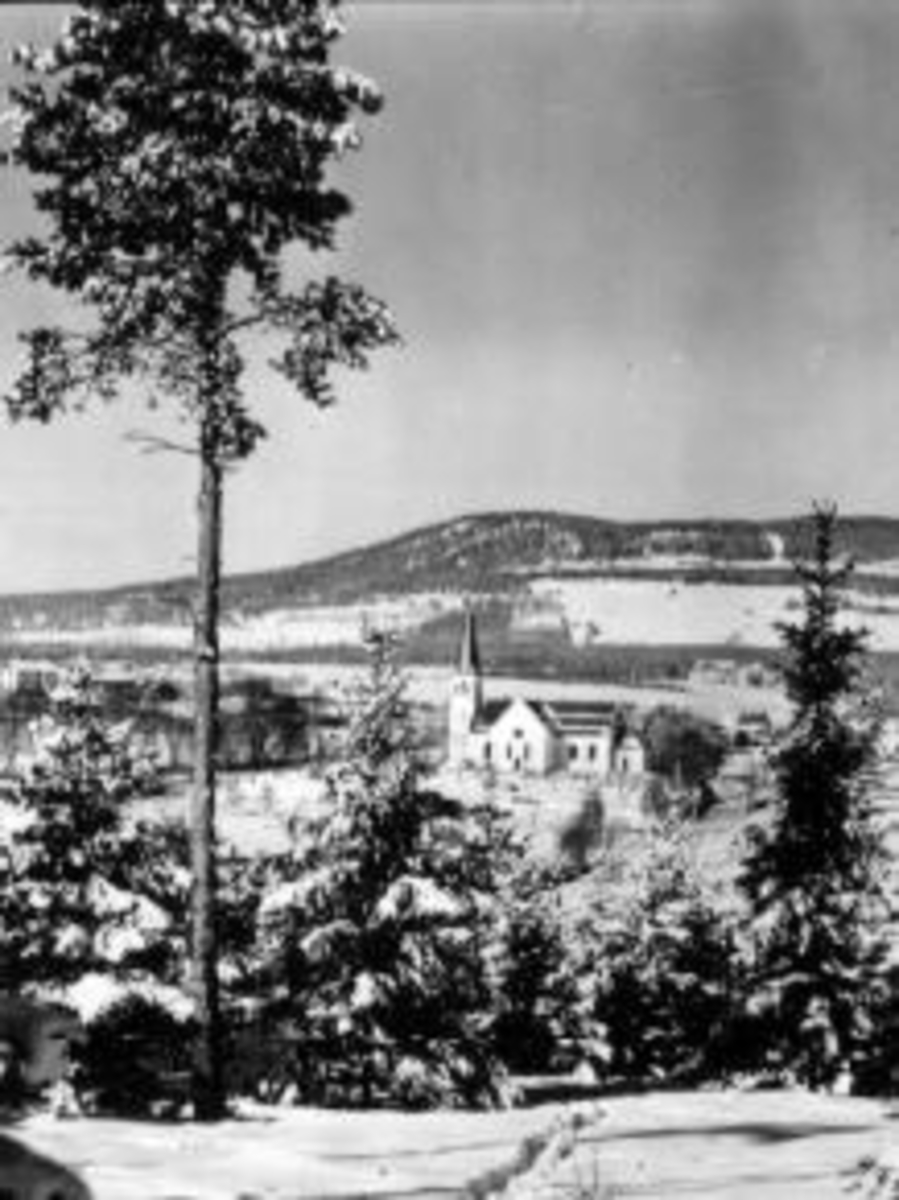 Postkort, Utsikt mot Furnes kirke og Høsbjør. Vinter. Furutre i forgrunnen.