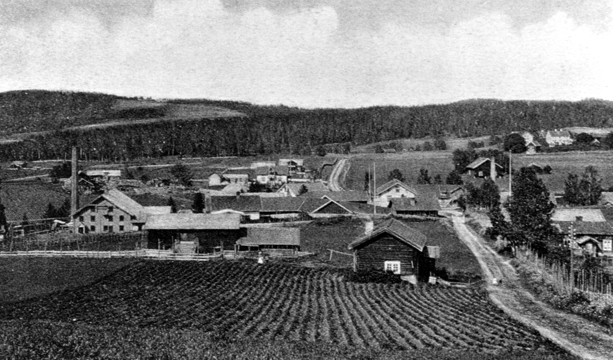 Utsikt over Gaupen, Ringsaker. Gaupen Brenneri. Til høyre bak er Hersoug gård.