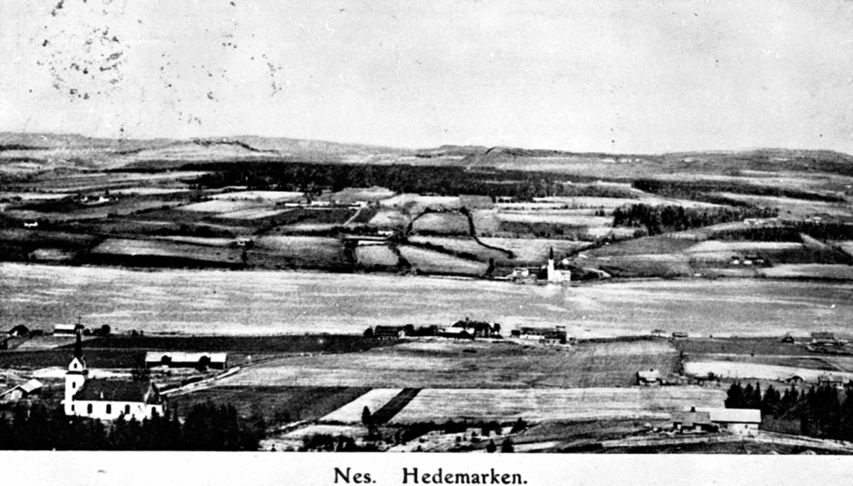 Utsikt fra Helgøya mot Tingnes. Helgøya kirke og Nes kirke.