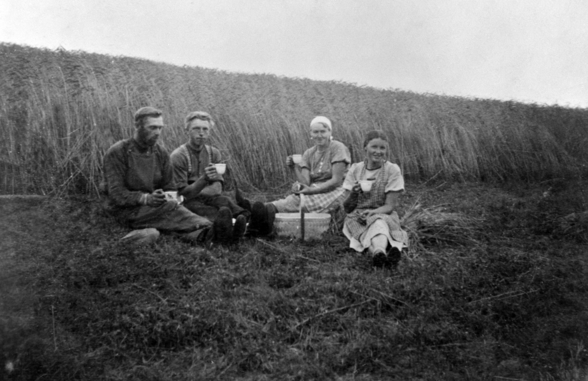Matpause i åkern under slåttona på Kroksrud, Gaupen, Ringsaker. Fra venstre er Sverre Daarstad, Jørgen Daarstad, Sara Gaalaas, Olave Stensli.