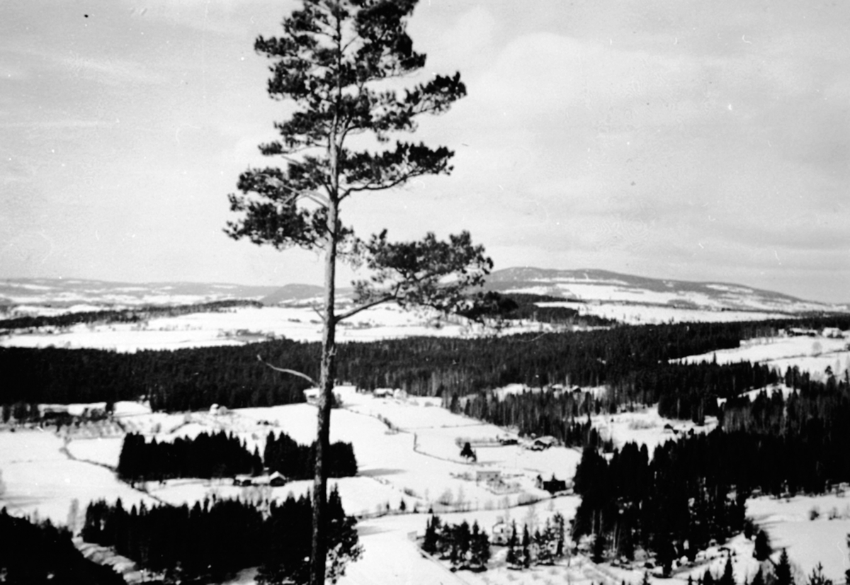 Ringsaker, Furnes, Jessnes, utsikt fra hoppbakken Store Furuberget, "Tyskeren" i Furuberget, vinterlandskap,