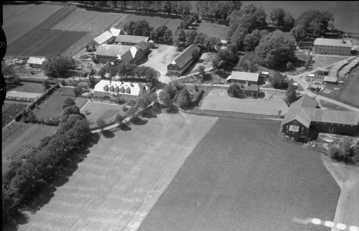 Flyfoto, gardsbruk, gartneri, Grefsheim, Nes, Hedmark.