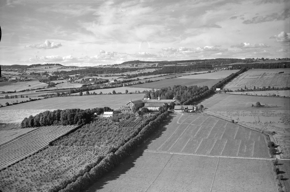 Flyfoto, gardsbruk, hagebruk, Hoel, Nes, Hedmark.