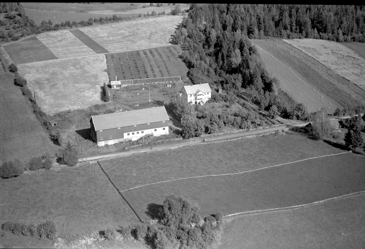 Flyfoto, gardsbruk, Lie nedre, Nes, Hedmark.