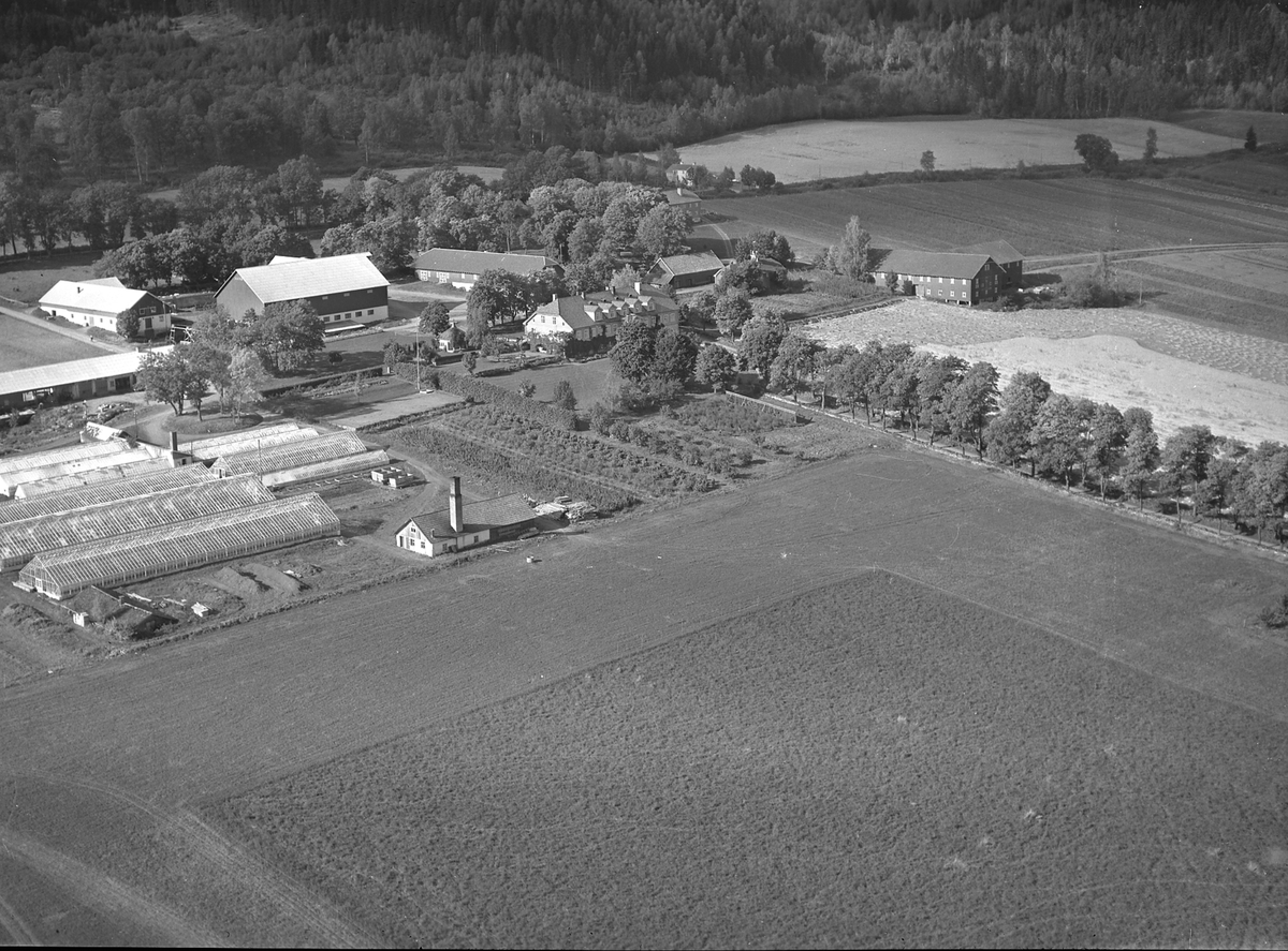 Flyfoto, gardsbruk, gartneri, Grefsheim, Nes, Hedmark.