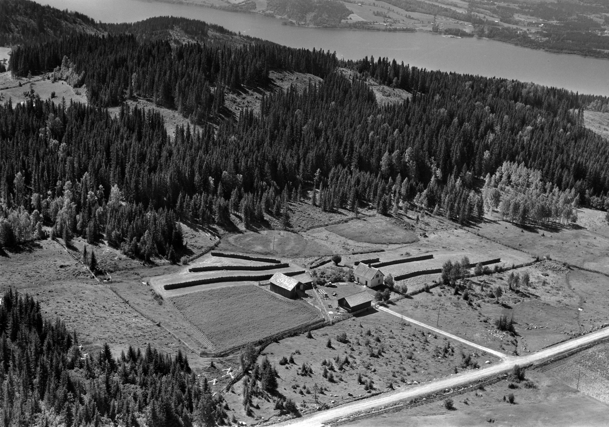 Flyfoto av Haugersvea, Ring, Ringsaker.
