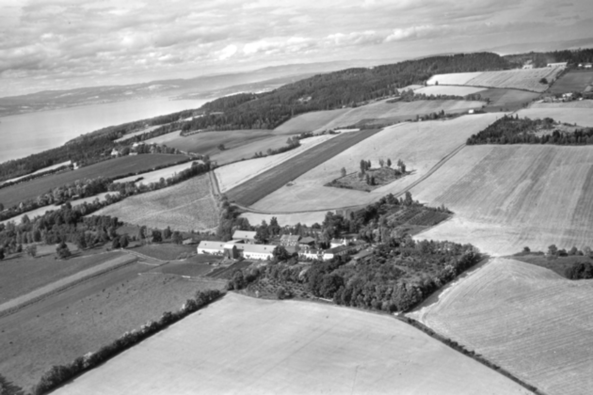 Flyfoto, gardsbruk, Hovinsholm, Helgøya.