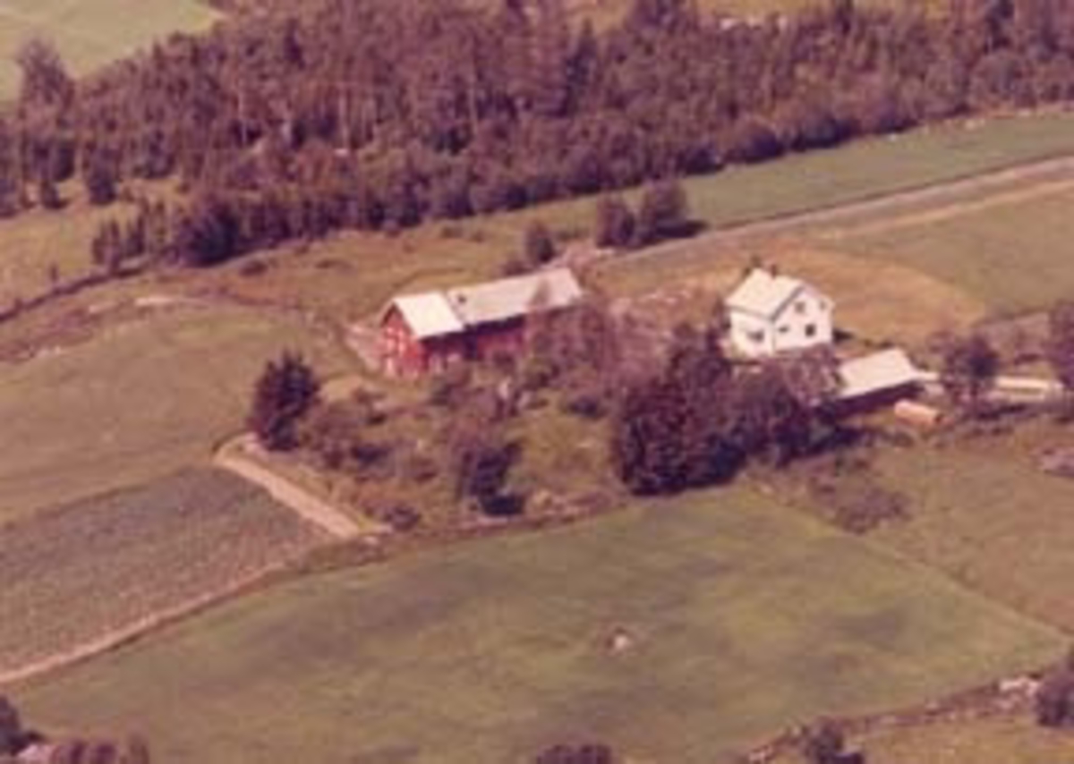 Torgerhagen, Furnes, flyfoto. Marthe f. Husom og Ivar Hegsvold bodde her. 