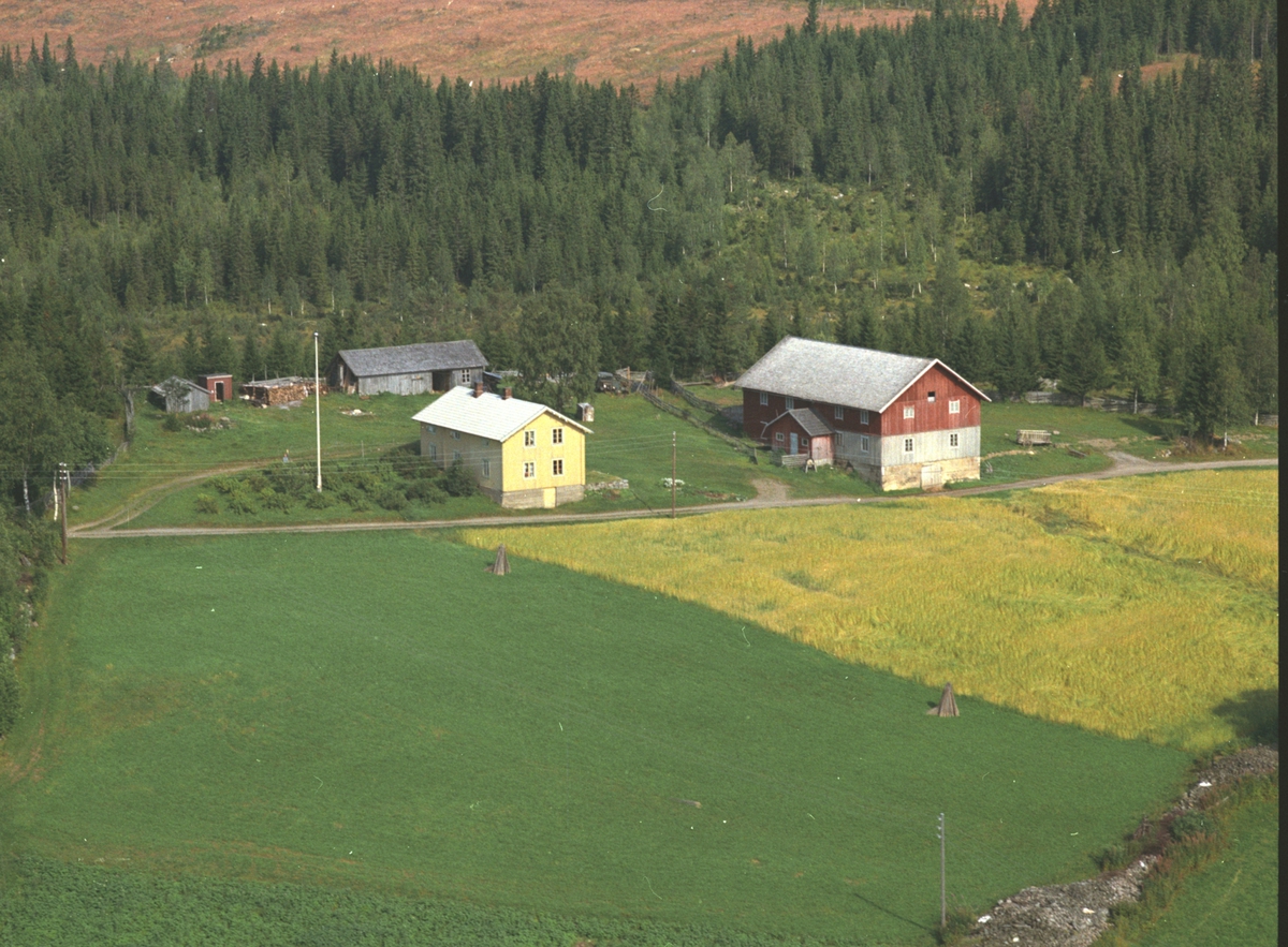 Flyfoto, Skogen østre, Veldre, Ringsaker.
