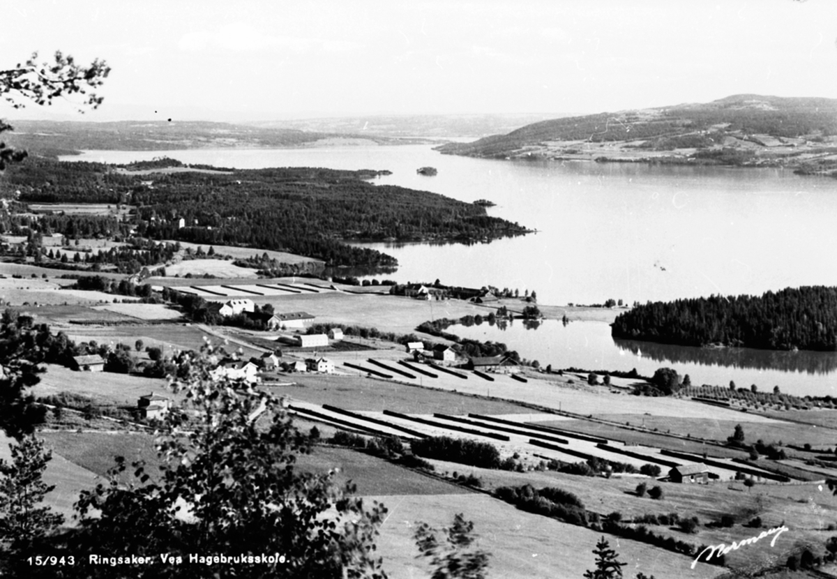 Postkort, Utsikt fra Ring, Vea Hagebruksskole, Mjøsa.