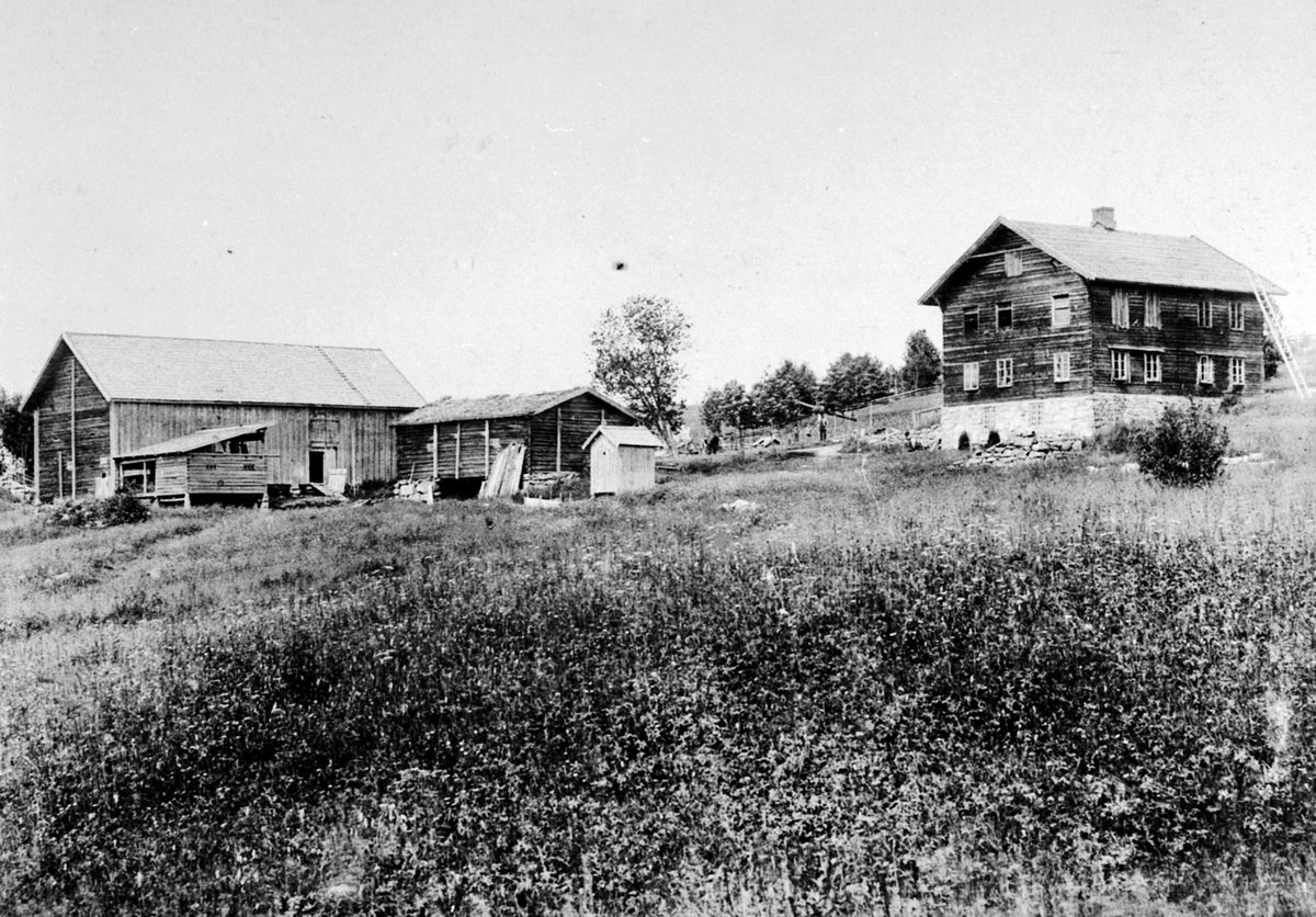 Eksteriør. Gardsbruk. Bjørklien søndre, Åsmarka, Ringsaker. Fra venstre er låven, fjøset, utedo, hovedbygning. Vippebrønn.